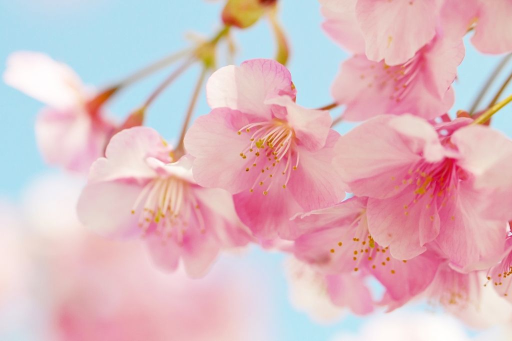 【婚活】これで最後にします。きょうと婚活応援センター3回目の決意。